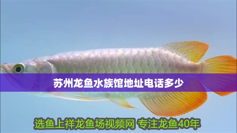 蘇州龍魚水族館地址電話多少