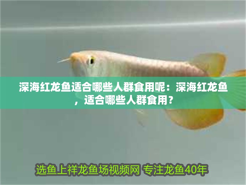 深海紅龍魚適合哪些人群食用呢：深海紅龍魚，適合哪些人群食用？