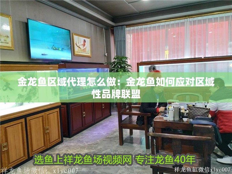 金龍魚區(qū)域代理怎么做：金龍魚如何應對區(qū)域性品牌聯盟