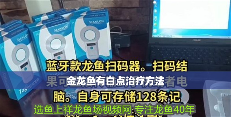 金龍魚有白點治療方法