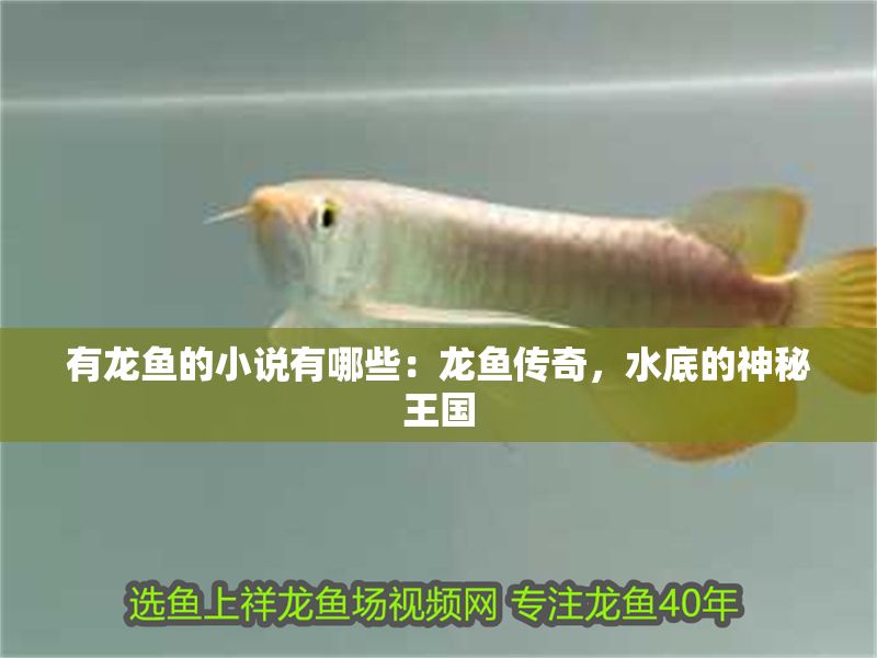 有龍魚的小說有哪些：龍魚傳奇，水底的神秘王國