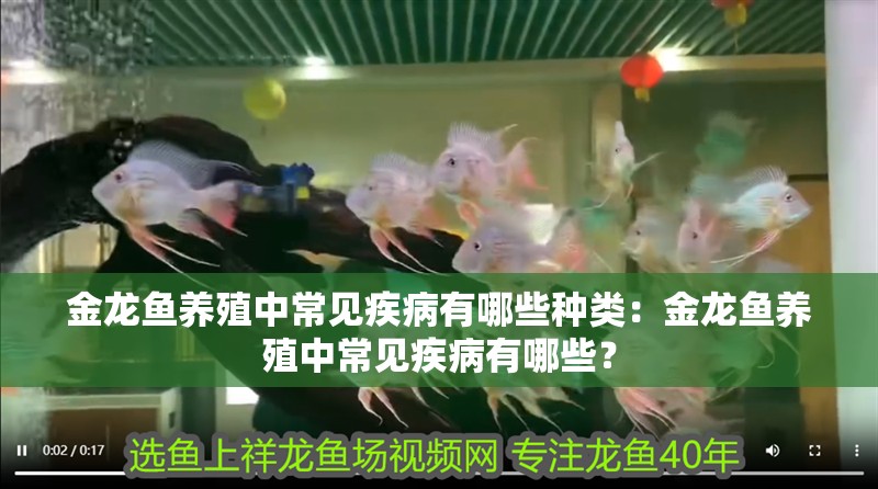 金龍魚養殖中常見疾病有哪些種類：金龍魚養殖中常見疾病有哪些？