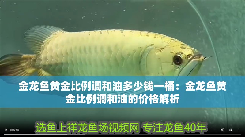 金龍魚黃金比例調和油多少錢一桶：金龍魚黃金比例調和油的價格解析