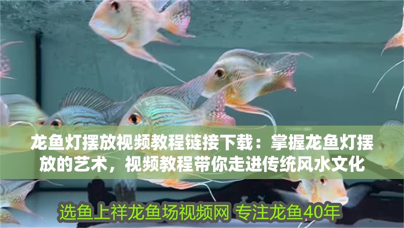 龍魚燈擺放視頻教程鏈接下載：掌握龍魚燈擺放的藝術，視頻教程帶你走進傳統風水文化