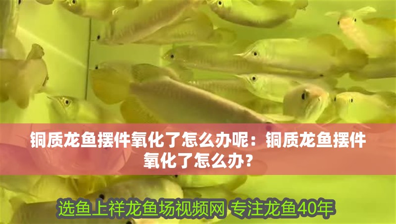 銅質龍魚擺件氧化了怎么辦呢：銅質龍魚擺件氧化了怎么辦？