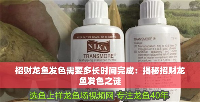 招財龍魚發色需要多長時間完成：揭秘招財龍魚發色之謎