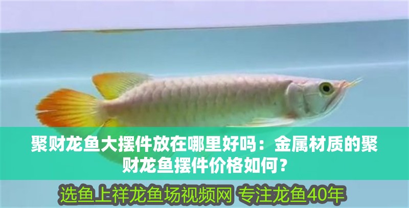 聚財(cái)龍魚大擺件放在哪里好嗎：金屬材質(zhì)的聚財(cái)龍魚擺件價(jià)格如何？ 聚財(cái)龍魚大擺件放在哪里好嗎：金屬材質(zhì)的聚財(cái)龍魚擺件價(jià)格如何？ 水族問答