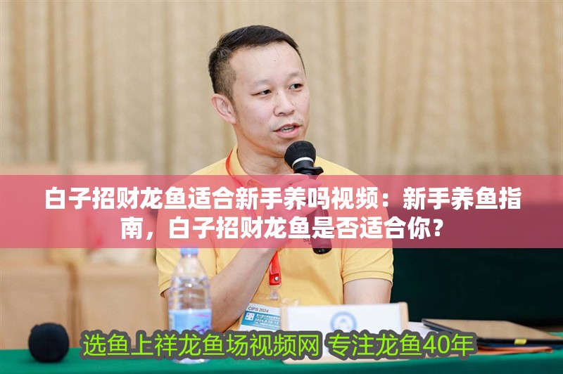 白子招財(cái)龍魚適合新手養(yǎng)嗎視頻：新手養(yǎng)魚指南，白子招財(cái)龍魚是否適合你？