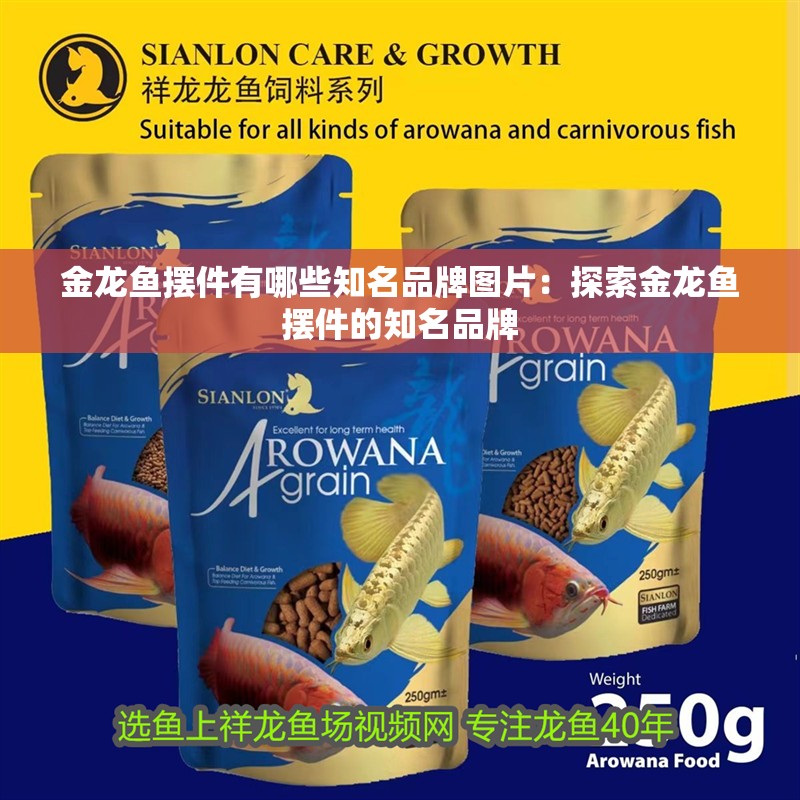 金龍魚擺件有哪些知名品牌圖片：探索金龍魚擺件的知名品牌