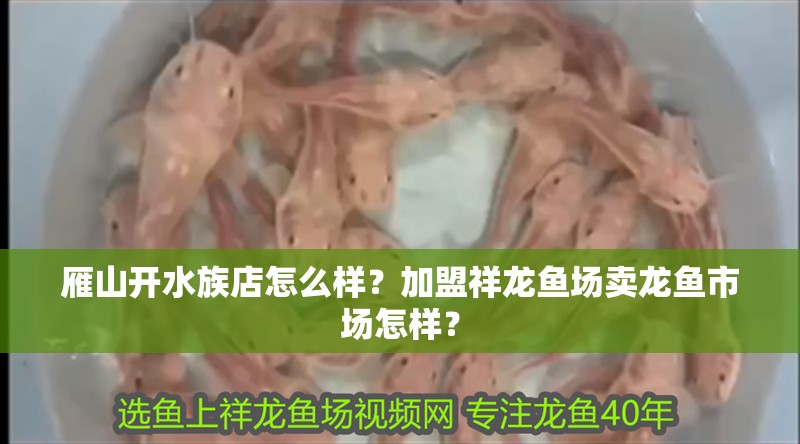 雁山開水族店怎么樣？加盟祥龍魚場賣龍魚市場怎樣？
