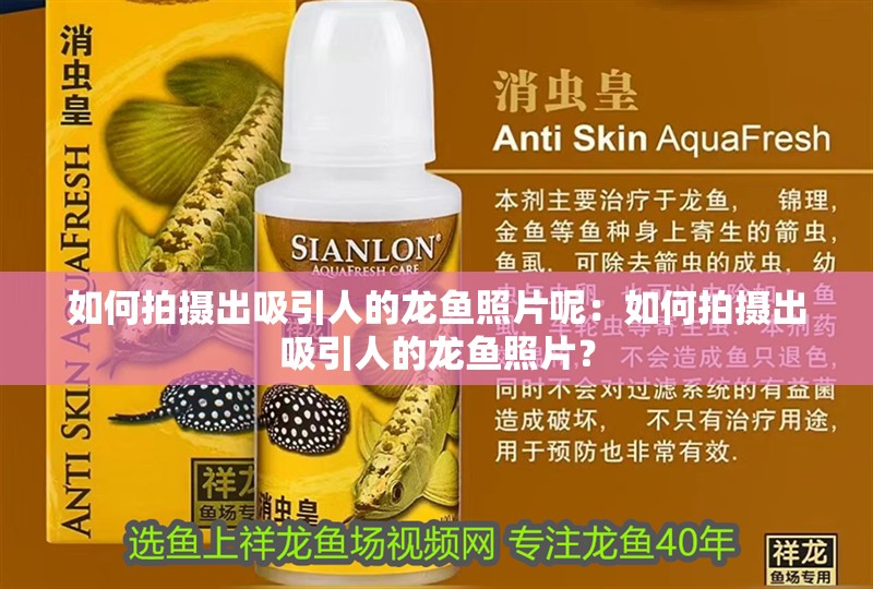 如何拍攝出吸引人的龍魚照片呢：如何拍攝出吸引人的龍魚照片？ 如何拍攝出吸引人的龍魚照片呢：如何拍攝出吸引人的龍魚照片？ 水族問答