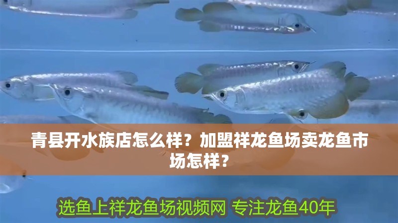 青縣開水族店怎么樣？加盟祥龍魚場賣龍魚市場怎樣？