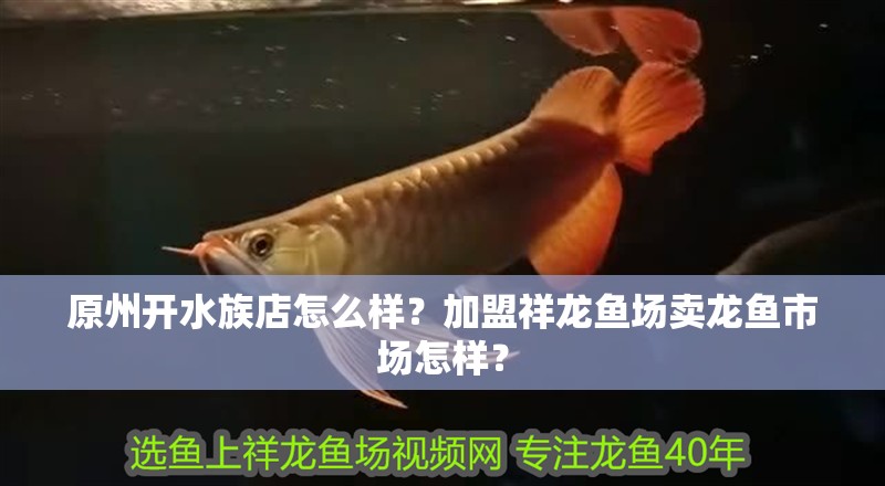 原州開水族店怎么樣？加盟祥龍魚場賣龍魚市場怎樣？