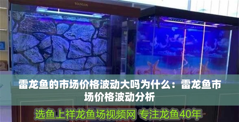 雷龍魚的市場價格波動大嗎為什么：雷龍魚市場價格波動分析