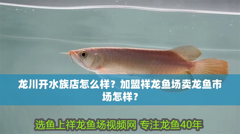 龍川開水族店怎么樣？加盟祥龍魚場賣龍魚市場怎樣？