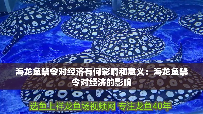 海龍魚禁令對經濟有何影響和意義：海龍魚禁令對經濟的影響