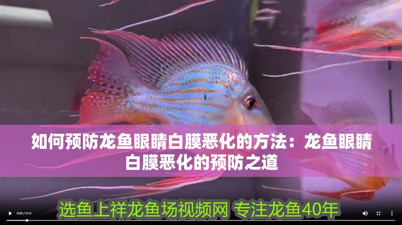如何預(yù)防龍魚眼睛白膜惡化的方法：龍魚眼睛白膜惡化的預(yù)防之道