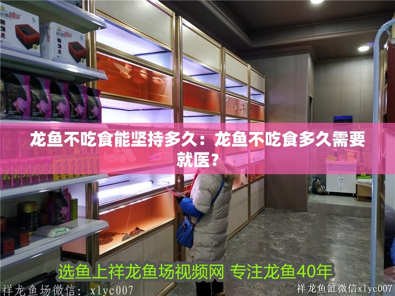 龍魚不吃食能堅持多久：龍魚不吃食多久需要就醫(yī)？