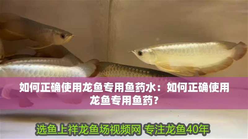 如何正確使用龍魚專用魚藥水：如何正確使用龍魚專用魚藥？