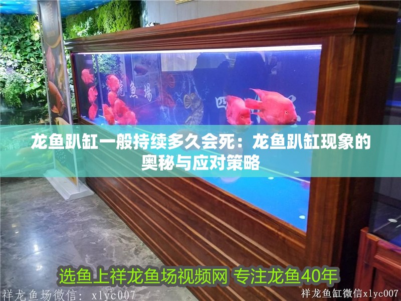 龍魚趴缸一般持續多久會死：龍魚趴缸現象的奧秘與應對策略