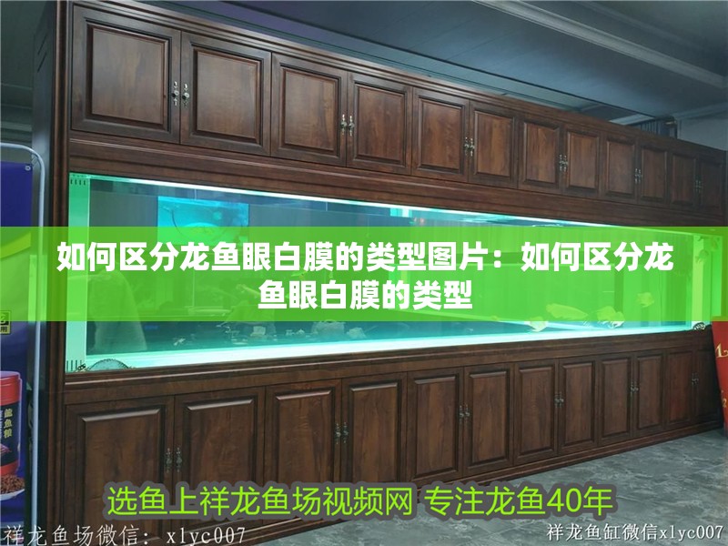 如何區(qū)分龍魚眼白膜的類型圖片：如何區(qū)分龍魚眼白膜的類型