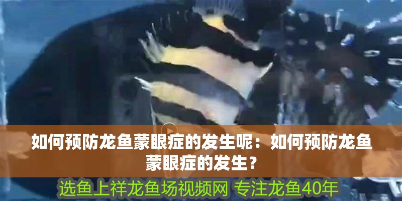 如何預防龍魚蒙眼癥的發生呢：如何預防龍魚蒙眼癥的發生？