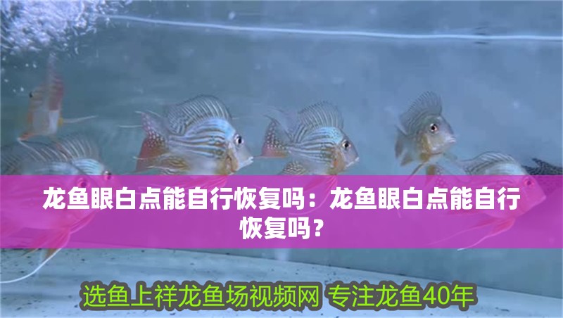 龍魚眼白點能自行恢復嗎：龍魚眼白點能自行恢復嗎？