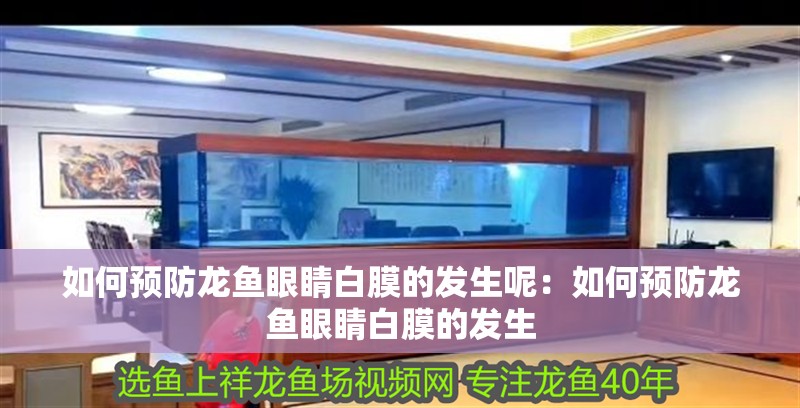 如何預(yù)防龍魚眼睛白膜的發(fā)生呢：如何預(yù)防龍魚眼睛白膜的發(fā)生