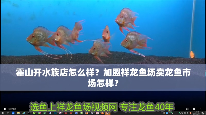 我的虎魚真菌感染了要怎么處理 霍山開水族店怎么樣?加盟祥龍魚場賣龍魚市場怎樣? 水族館百科(水族館加盟) 霍山開水族店怎么樣?加盟祥龍魚場賣龍魚市場怎樣? 霍山開水族店怎么樣?加盟祥龍魚場賣龍魚市場怎樣? 水族館百科(水族館加盟)