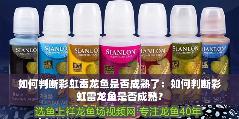 如何判斷彩虹雷龍魚是否成熟了：如何判斷彩虹雷龍魚是否成熟？