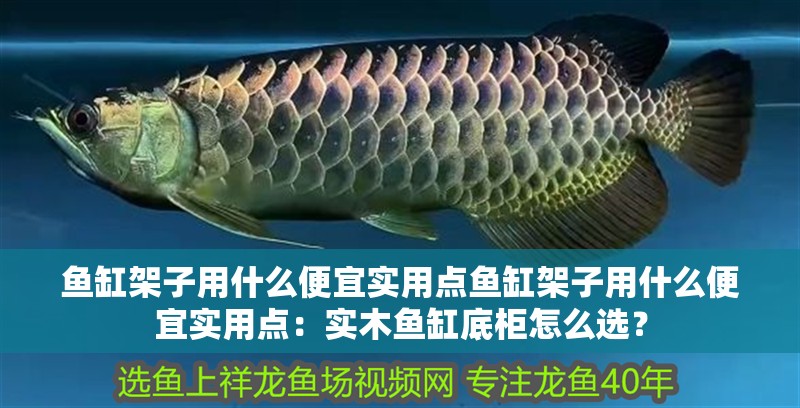 魚缸架子用什么便宜實用點魚缸架子用什么便宜實用點：實木魚缸底柜怎么選？