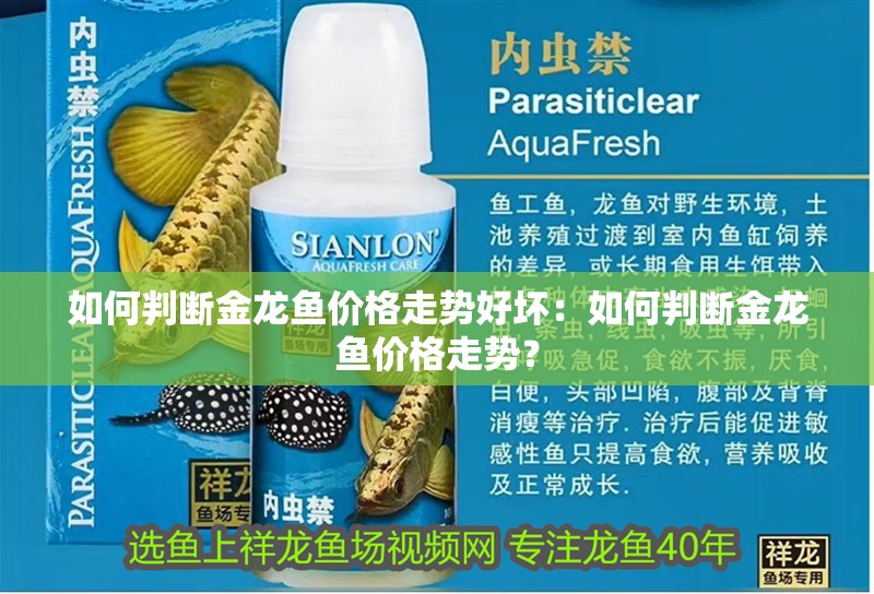 如何判斷金龍魚價格走勢好壞：如何判斷金龍魚價格走勢？