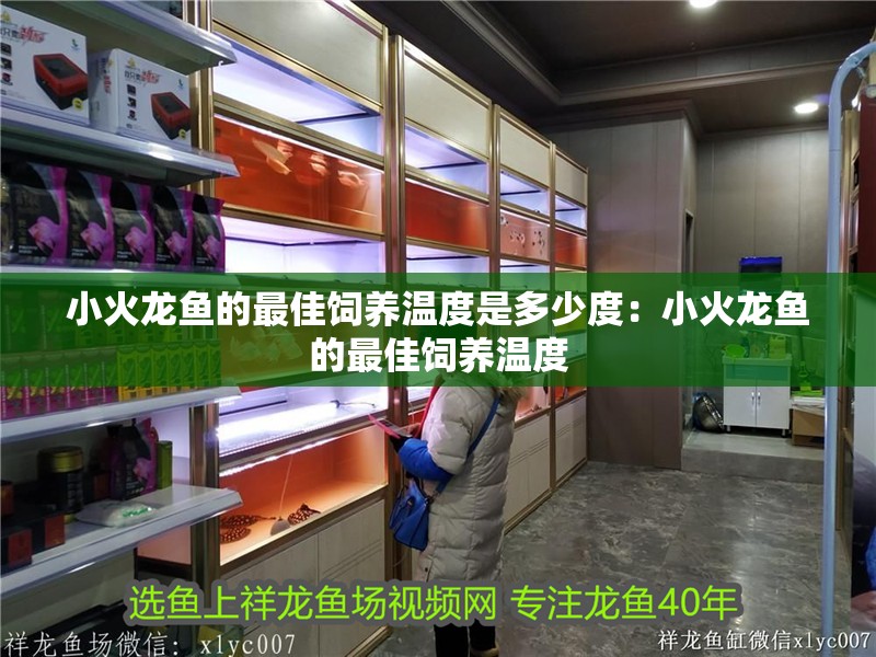 小火龍魚的最佳飼養溫度是多少度：小火龍魚的最佳飼養溫度