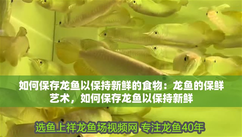 如何保存龍魚以保持新鮮的食物：龍魚的保鮮藝術，如何保存龍魚以保持新鮮