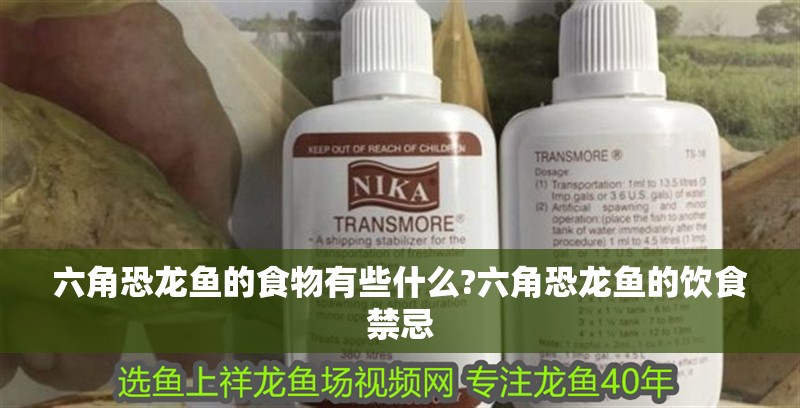六角恐龍魚(yú)的食物有些什么?六角恐龍魚(yú)的飲食禁忌