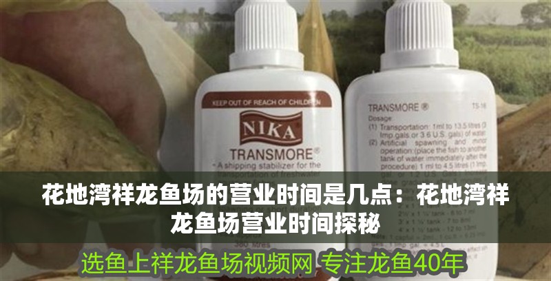 花地灣祥龍魚場的營業時間是幾點：花地灣祥龍魚場營業時間探秘