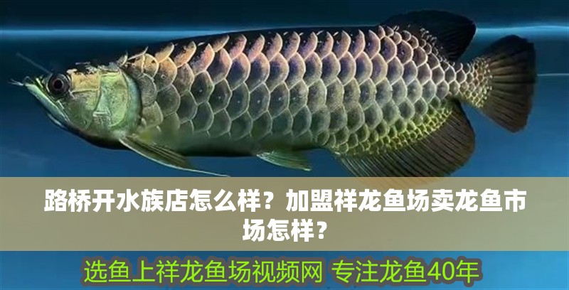 路橋開水族店怎么樣？加盟祥龍魚場賣龍魚市場怎樣？