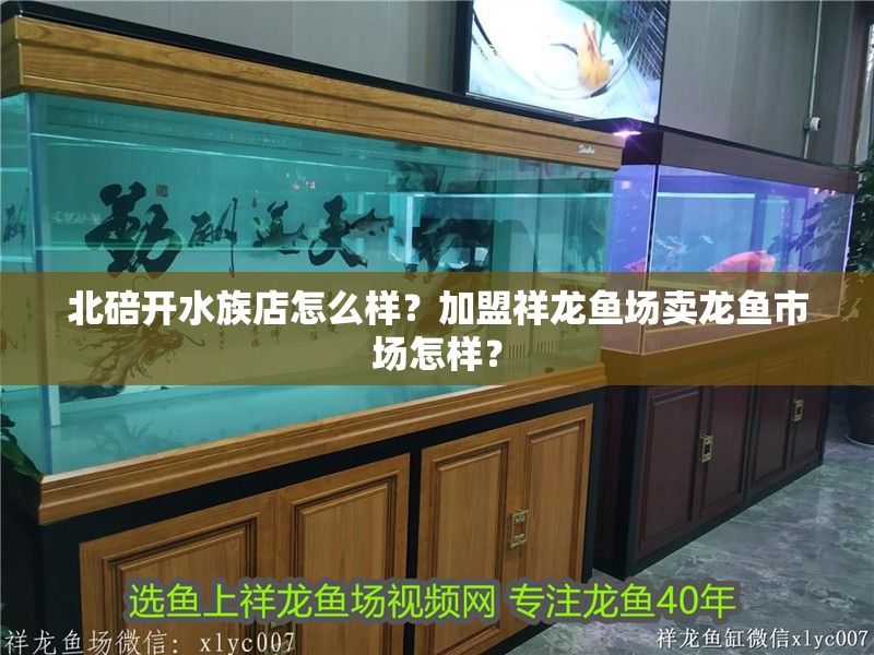 北碚開水族店怎么樣？加盟祥龍魚場賣龍魚市場怎樣？