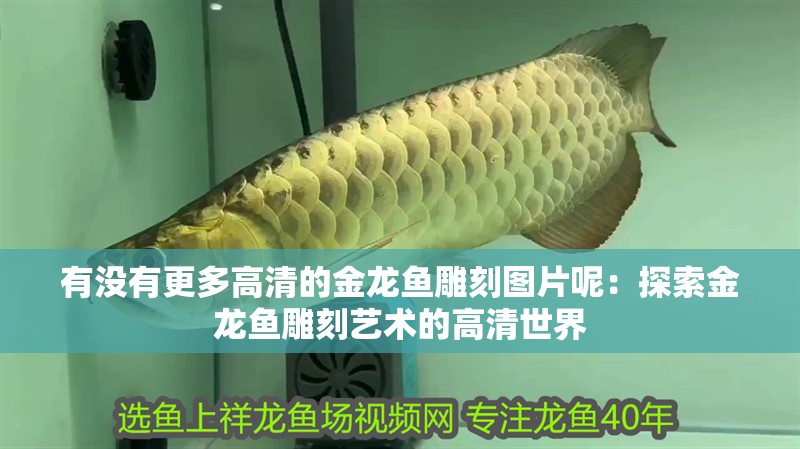 有沒有更多高清的金龍魚雕刻圖片呢：探索金龍魚雕刻藝術(shù)的高清世界