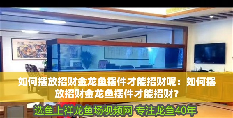 如何擺放招財(cái)金龍魚(yú)擺件才能招財(cái)呢：如何擺放招財(cái)金龍魚(yú)擺件才能招財(cái)？