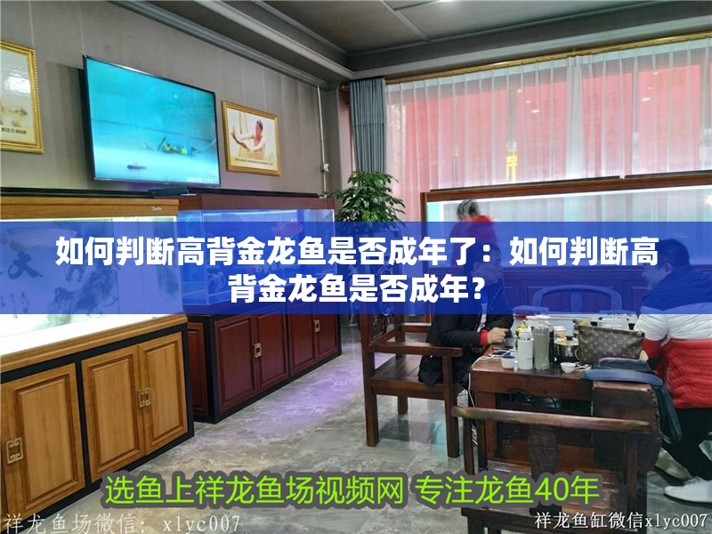 如何判斷高背金龍魚是否成年了：如何判斷高背金龍魚是否成年？