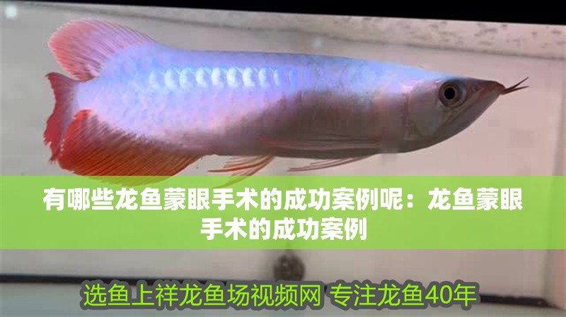 有哪些龍魚蒙眼手術的成功案例呢：龍魚蒙眼手術的成功案例
