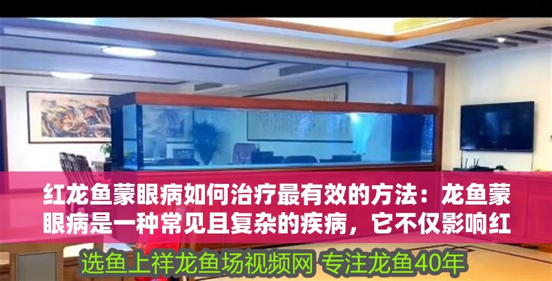 紅龍魚(yú)蒙眼病如何治療最有效的方法：龍魚(yú)蒙眼病是一種常見(jiàn)且復(fù)雜的疾病，它不僅影響紅龍魚(yú)的外觀，還可能對(duì)它們的健康造成長(zhǎng)期影響。治療紅龍魚(yú)蒙眼病需要耐心和細(xì)心，以下是一些有效的治療措施