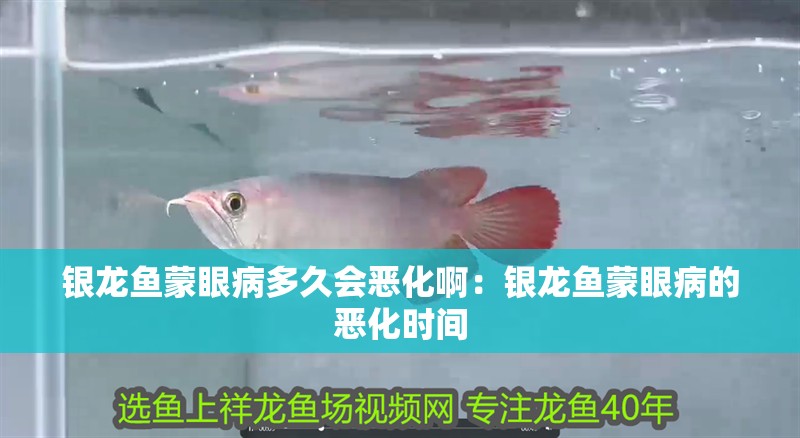 銀龍魚蒙眼病多久會惡化啊：銀龍魚蒙眼病的惡化時間