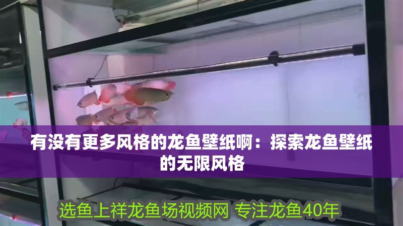 有沒有更多風格的龍魚壁紙啊：探索龍魚壁紙的無限風格