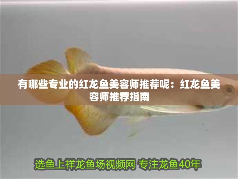 有哪些專業的紅龍魚美容師推薦呢：紅龍魚美容師推薦指南