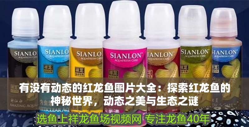 有沒有動(dòng)態(tài)的紅龍魚圖片大全：探索紅龍魚的神秘世界，動(dòng)態(tài)之美與生態(tài)之謎