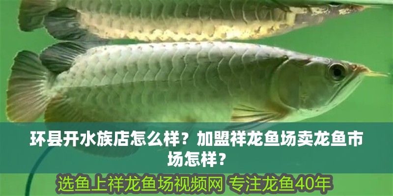環縣開水族店怎么樣？加盟祥龍魚場賣龍魚市場怎樣？