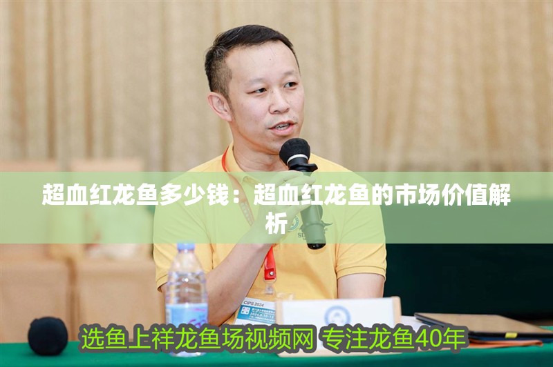 超血紅龍魚多少錢：超血紅龍魚的市場價值解析
