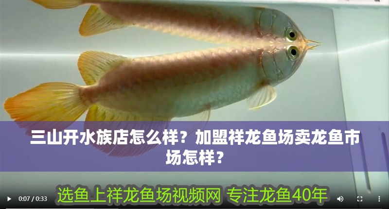 <strong><mark>三山</mark></strong>開水族店怎么樣？加盟祥龍魚場賣龍魚市場怎樣？